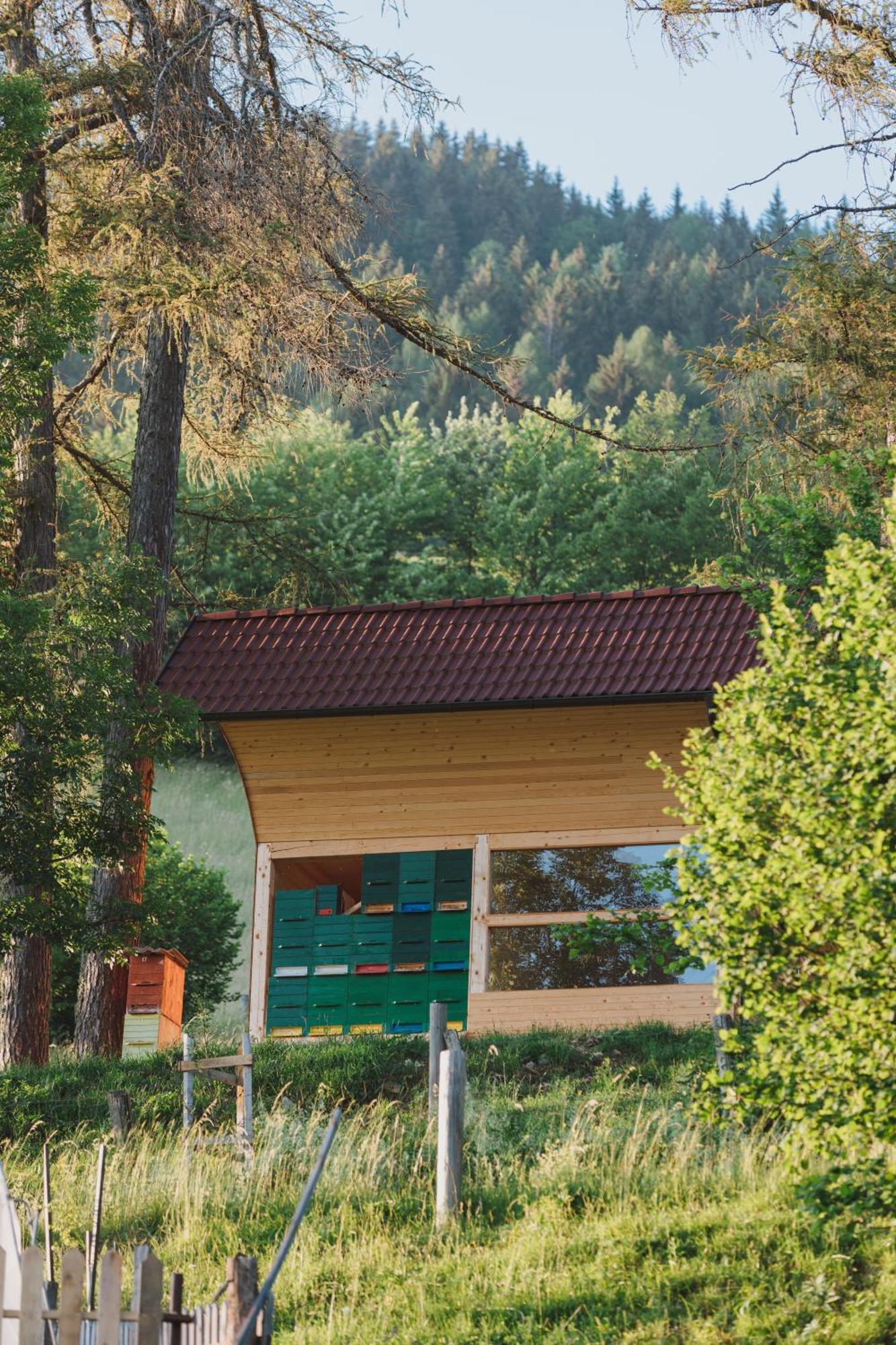 Tourist Farm Pr'Dovar Cerklje na Gorenjskem Exterior photo